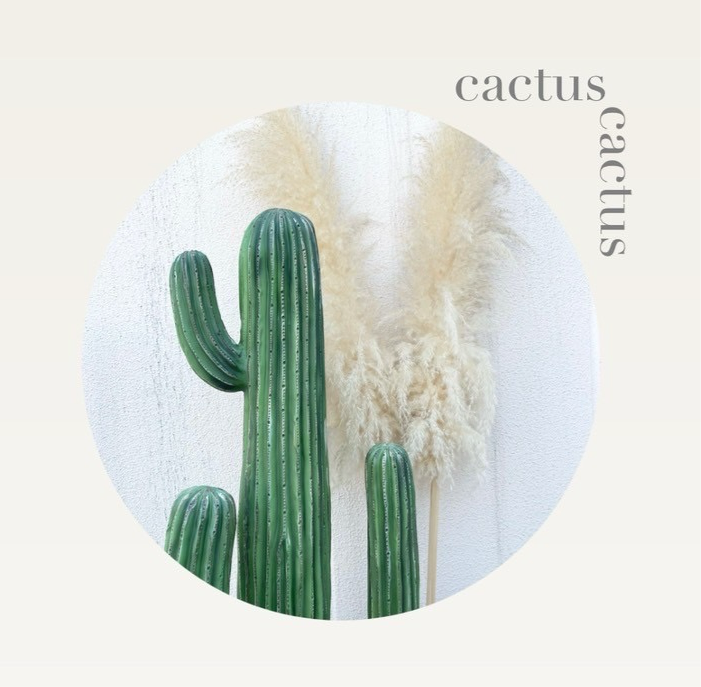 Cactus object