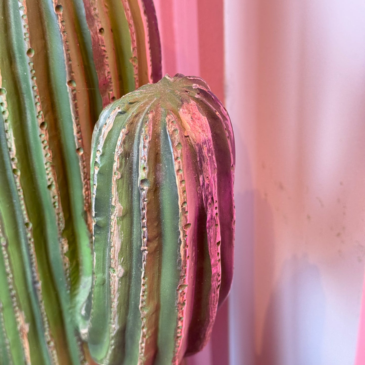 Cactus object